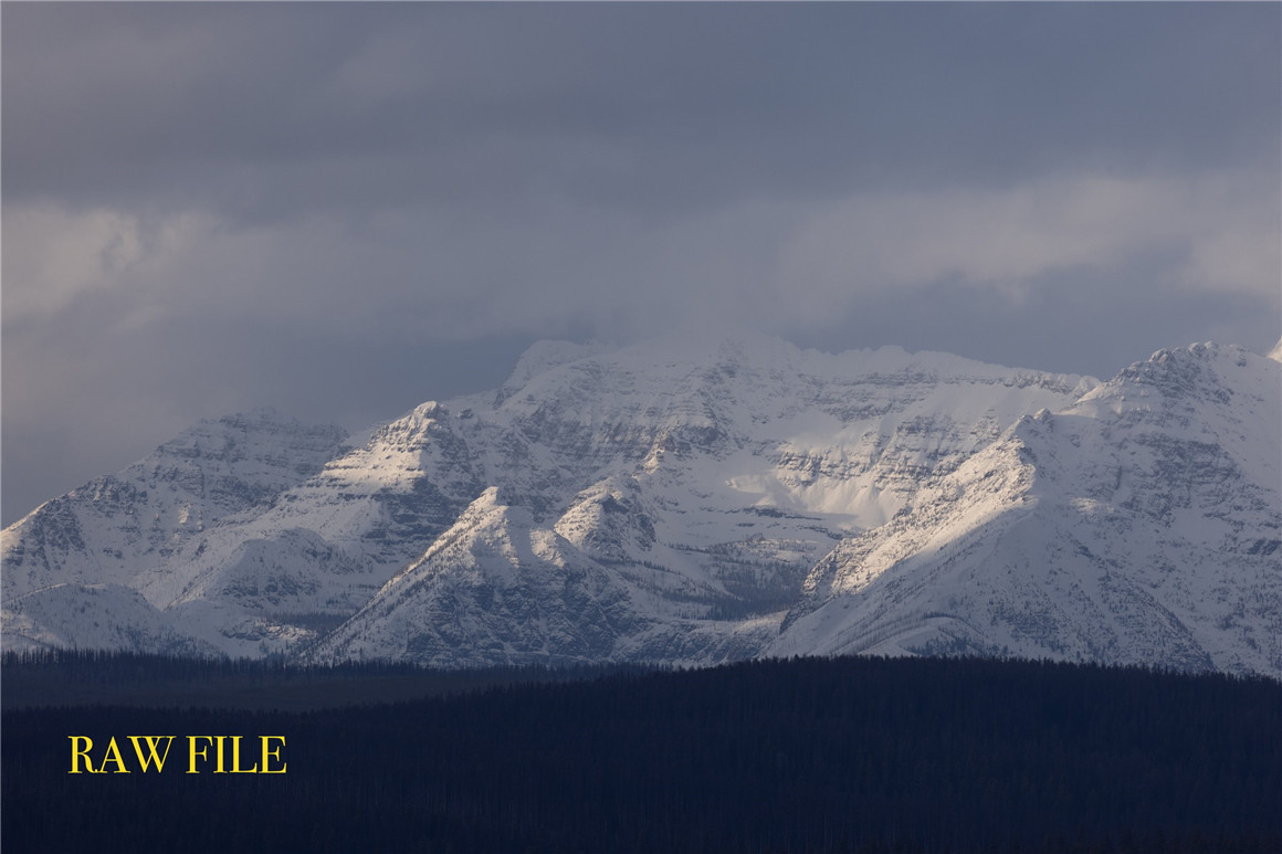 37个经典胶片扫描电影颗粒纹理LR调色预设包 Forrest Mankins - FM Film Lightroom Presets 插件预设 第12张-素材湾丨精选海外优质设计素材资源 37个经典胶片扫描电影颗粒纹理LR调色预设包 Forrest Mankins - FM Film Lightroom Presets 插件预设 sucaiwan.com