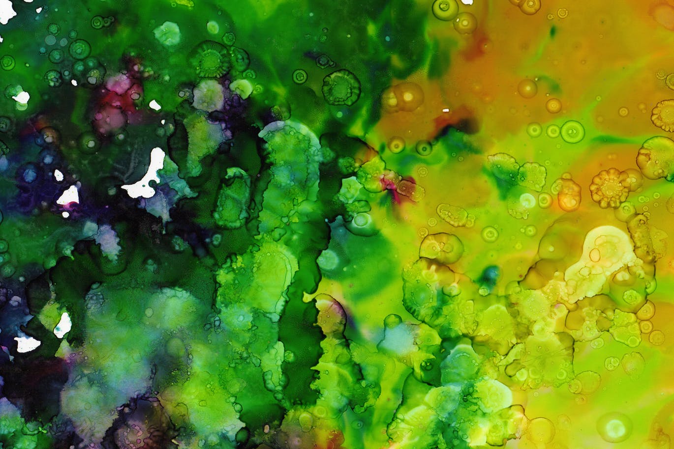 五彩墨水纹理素材v3 Multicolored Inks – Volume 3 图片素材 sucaiwan.com