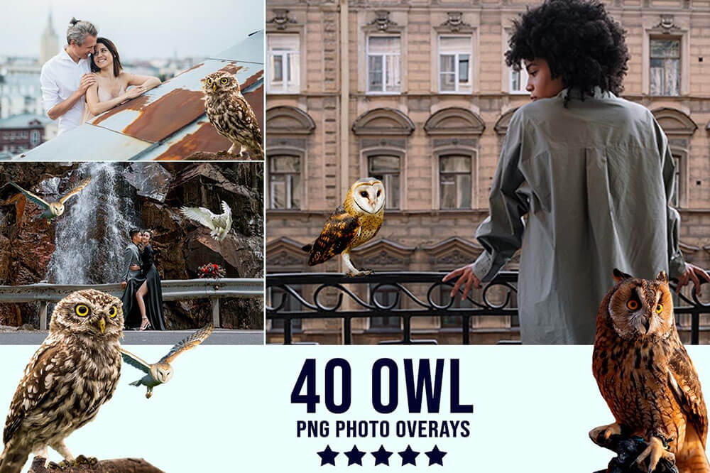 3300+动物花鸟植物藤曼浪漫闪光纸屑彩虹烟雾星空极光等照片叠加合成素材合集 3300+ Photo Overlays Bundle + FREE Act 图片素材 第35张-素材湾丨精选海外优质设计素材资源 3300+动物花鸟植物藤曼浪漫闪光纸屑彩虹烟雾星空极光等照片叠加合成素材合集 3300+ Photo Overlays Bundle + FREE Act 图片素材 sucaiwan.com