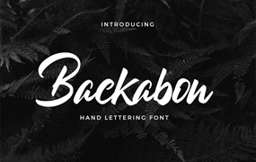 个性加粗连写设计书法手写字体 Backabon – Hand lettering Font
