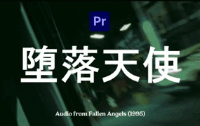 PR预设：王家卫风格港风情绪慢快门视频抽帧拖影效果预设包