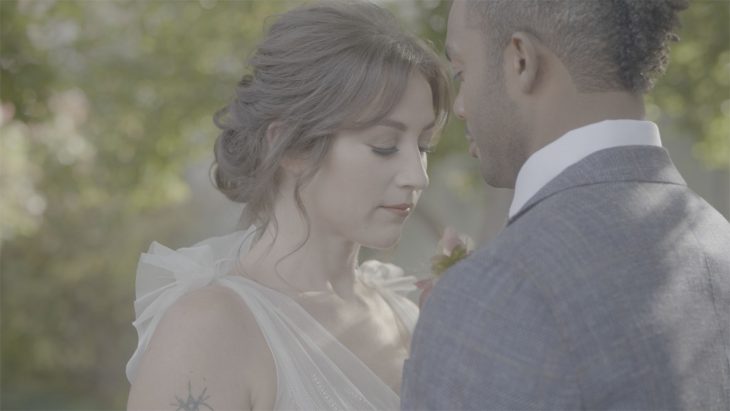 最完美的松下V-Log色彩还原LUT调色预设包 Gamut Panasonic Conversion LUTs for V-Log 插件预设 sucaiwan.com