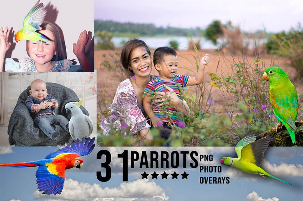 3300+动物花鸟植物藤曼浪漫闪光纸屑彩虹烟雾星空极光等照片叠加合成素材合集 3300+ Photo Overlays Bundle + FREE Act 图片素材 第4张-素材湾丨精选海外优质设计素材资源 3300+动物花鸟植物藤曼浪漫闪光纸屑彩虹烟雾星空极光等照片叠加合成素材合集 3300+ Photo Overlays Bundle + FREE Act 图片素材 sucaiwan.com