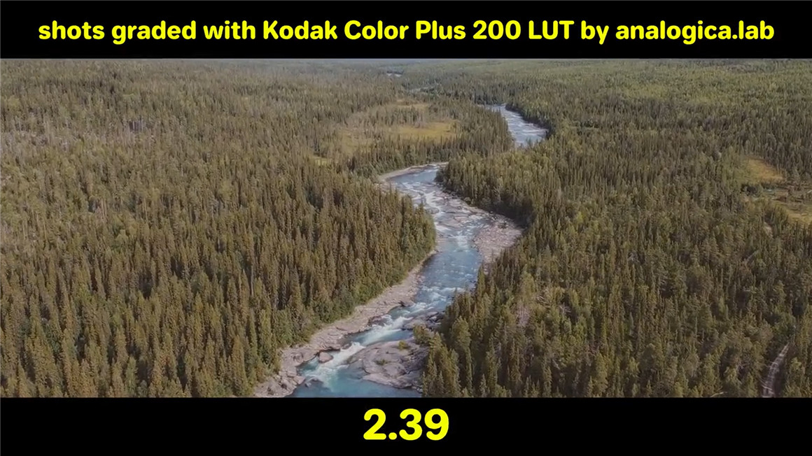 Analogica Lab 真实电影美学4K胶片边框PNG素材 FILM GATE PACK 图片素材 第4张-素材湾丨精选海外优质设计素材资源 Analogica Lab 真实电影美学4K胶片边框PNG素材 FILM GATE PACK 图片素材 sucaiwan.com