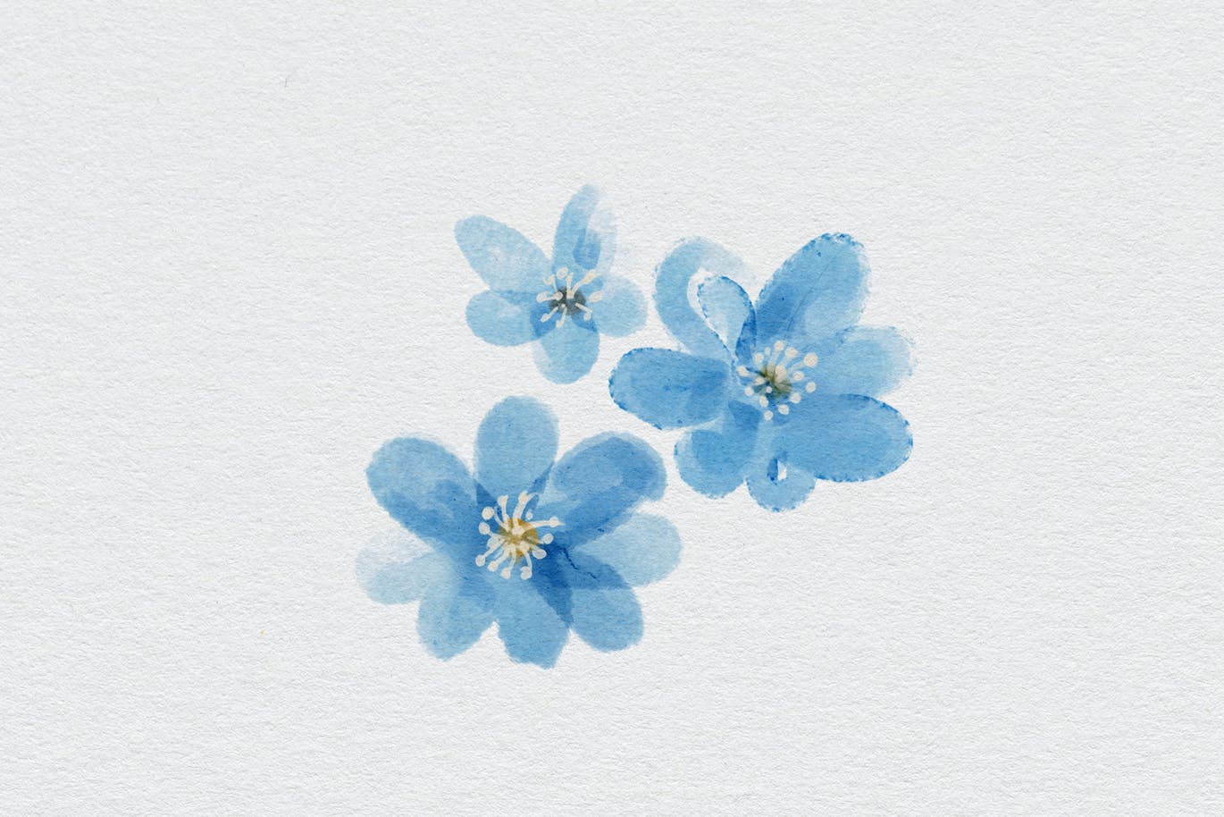 写实水彩PS笔刷素材 Realistic watercolor brushes – PS 笔刷资源 sucaiwan.com