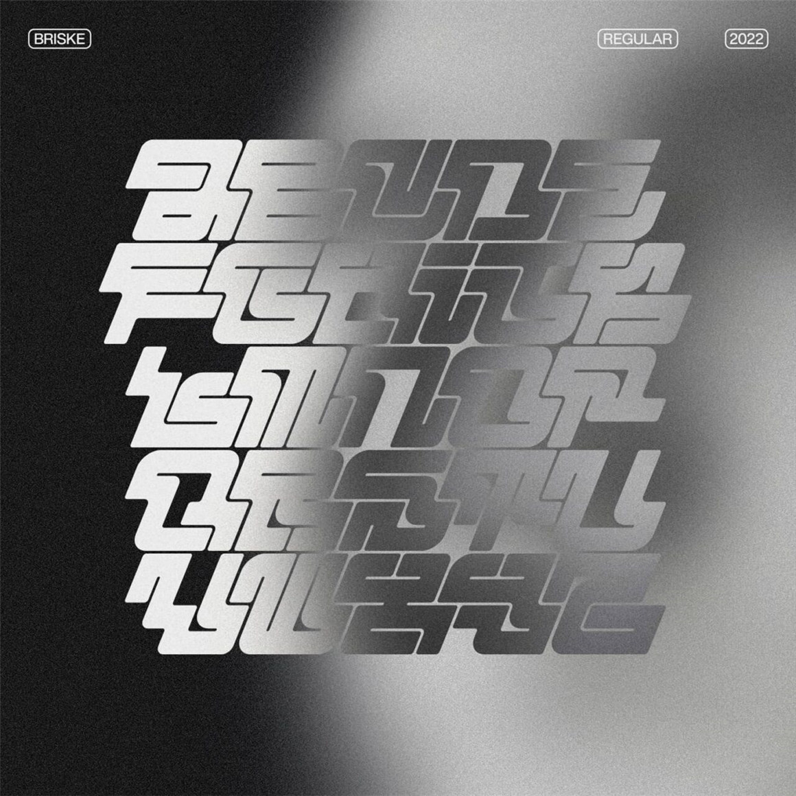 未来赛博朋克科技科幻机能机甲海报平面设计标题Logo排版装饰字体 Briske by Studio Innate 设计素材 sucaiwan.com