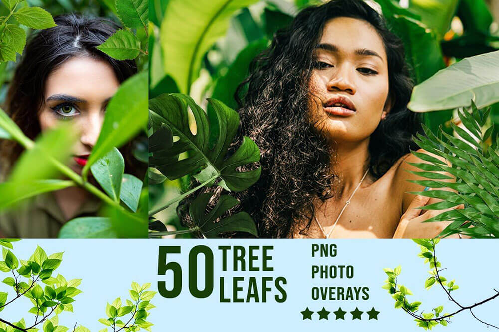 3300+动物花鸟植物藤曼浪漫闪光纸屑彩虹烟雾星空极光等照片叠加合成素材合集 3300+ Photo Overlays Bundle + FREE Act 图片素材 第29张-素材湾丨精选海外优质设计素材资源 3300+动物花鸟植物藤曼浪漫闪光纸屑彩虹烟雾星空极光等照片叠加合成素材合集 3300+ Photo Overlays Bundle + FREE Act 图片素材 sucaiwan.com