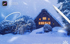 18个逼真下雪效果Procreate笔刷
