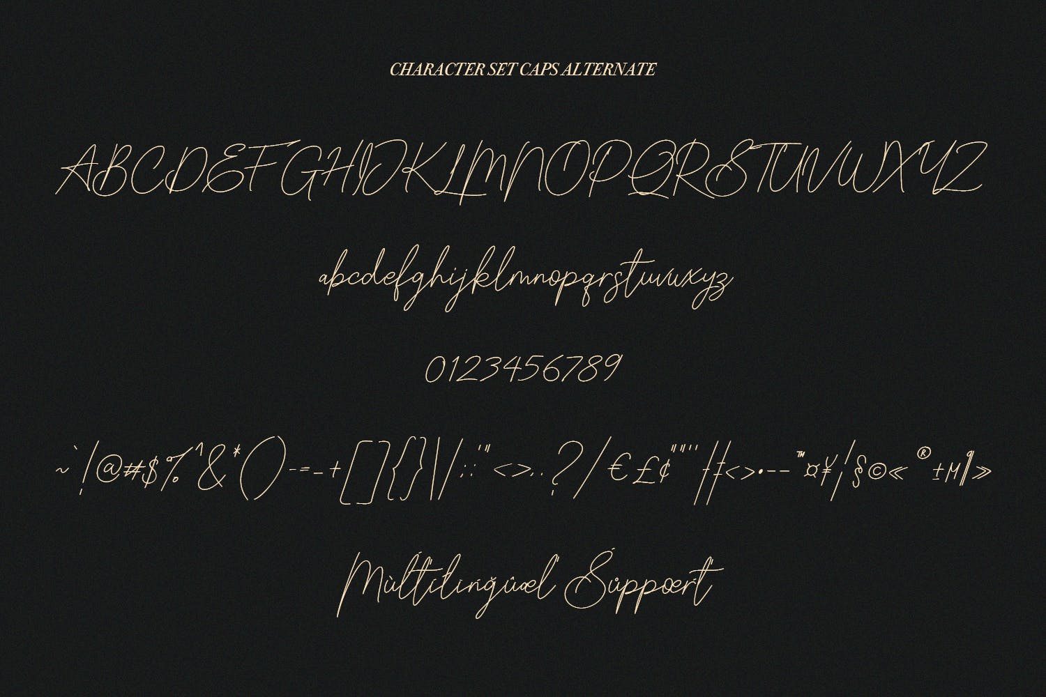 英文手写签名字体合集 Slothwilds Handwritten Typeface 设计素材 sucaiwan.com