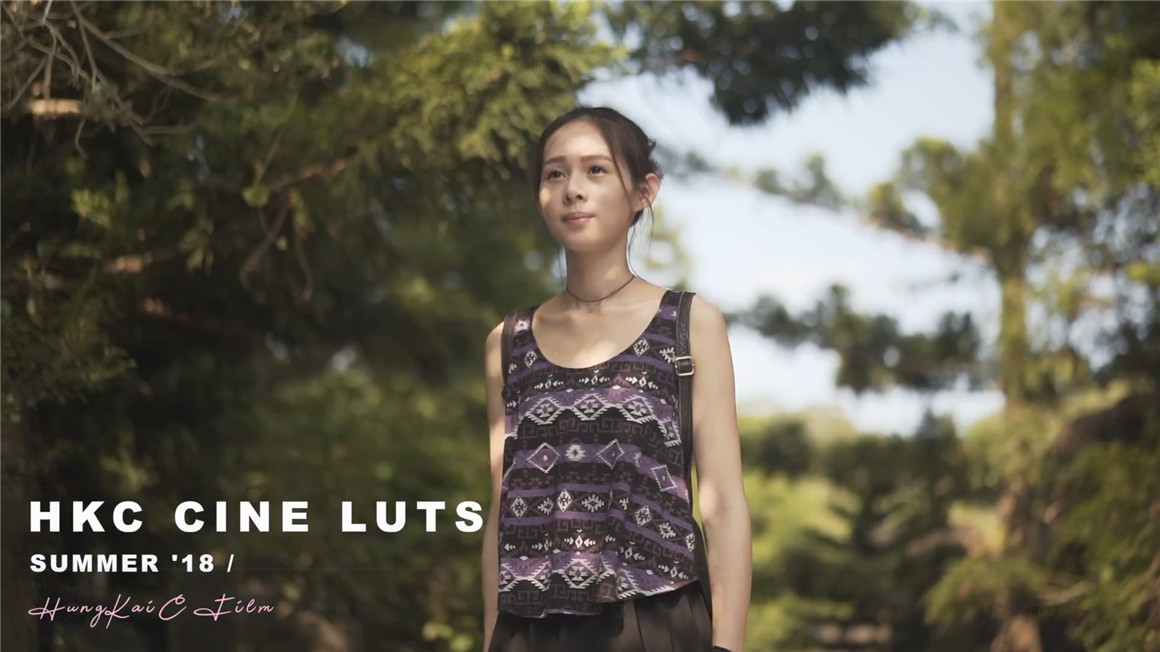 10个索尼专业电影级调色LUT预设包 CINE LUT PACK 插件预设 第3张-素材湾丨精选海外优质设计素材资源 10个索尼专业电影级调色LUT预设包 CINE LUT PACK 插件预设 sucaiwan.com