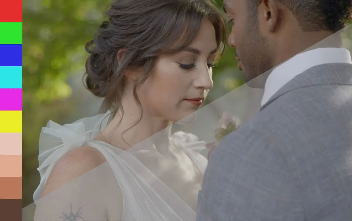 最完美的松下V-Log色彩还原LUT调色预设包 Gamut Panasonic Conversion LUTs for V-Log 插件预设 sucaiwan.com