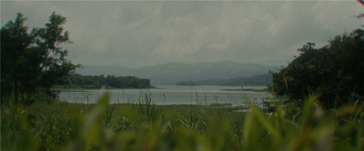 深绿色自然风景旅拍达芬奇调色节点 JUNGLE 2022 POWERGRADE 插件预设 sucaiwan.com