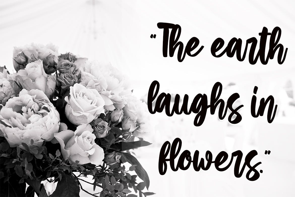 整齐现代英文手写字体合集 Jartails – Modern Calligraphy Font 设计素材 sucaiwan.com