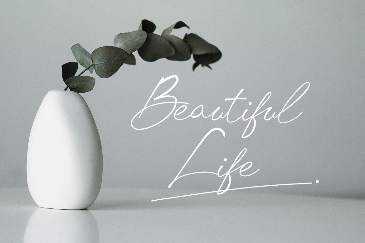 多用途英文手写签名字体 Chick Budapest Signature Font 设计素材 sucaiwan.com