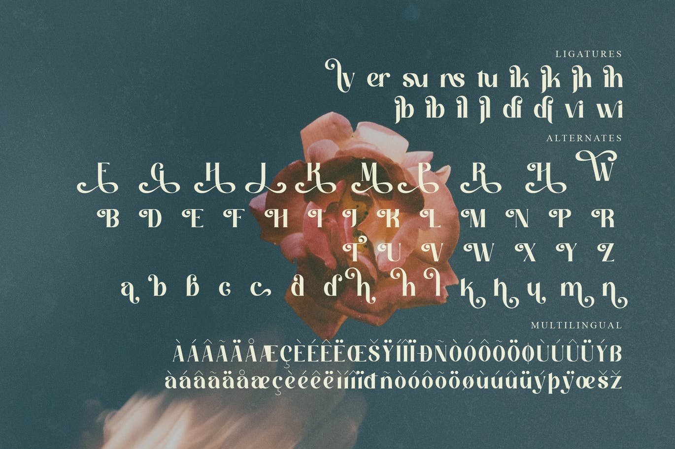 优雅现代衬线显示字体素材 Hatcher Serif Display Font 设计素材 sucaiwan.com