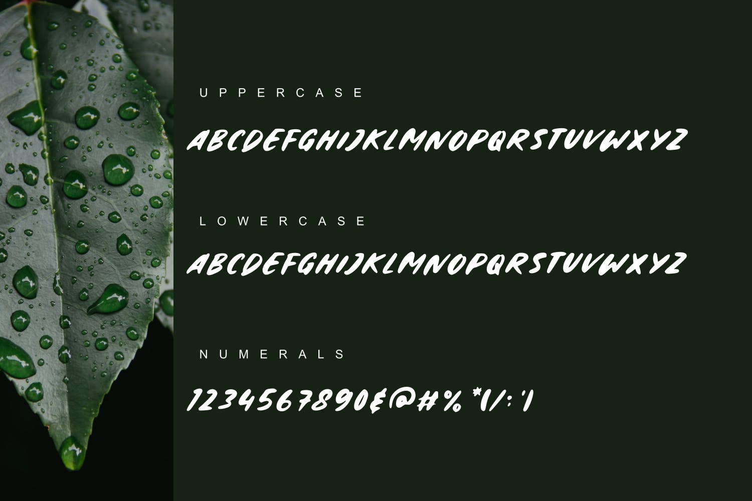 随意手写英文笔刷字体 Sketchy – The Brush Font 设计素材 sucaiwan.com