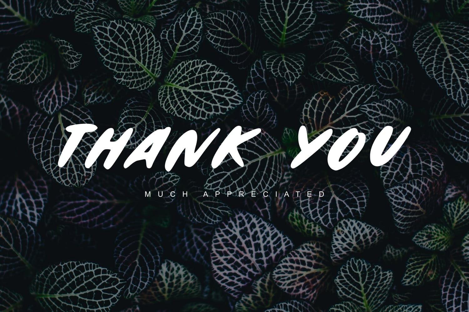 随意手写英文笔刷字体 Sketchy – The Brush Font 设计素材 sucaiwan.com