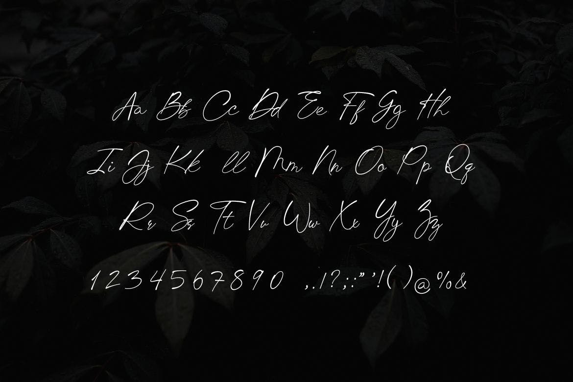 多用途英文手写签名字体 Chick Budapest Signature Font 设计素材 sucaiwan.com