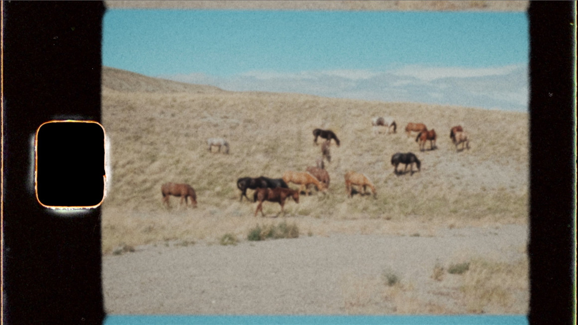 FAKE 8 FILM LAB 50多个真实SUPER 8MM胶片模拟闪烁模糊光晕抖动效果达芬奇节点+视频/音效素材 影视音频 sucaiwan.com