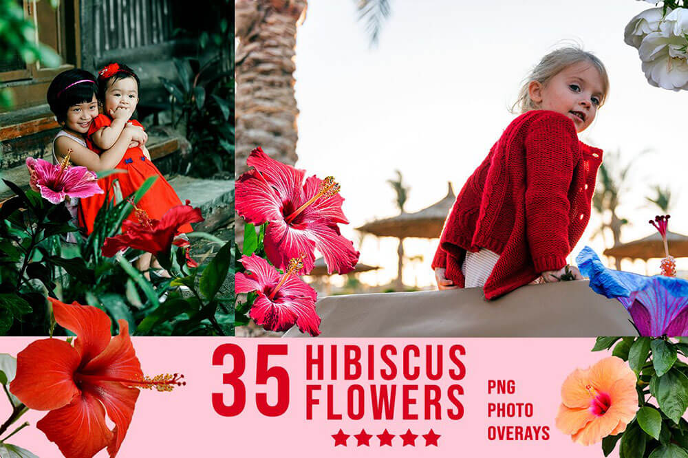 3300+动物花鸟植物藤曼浪漫闪光纸屑彩虹烟雾星空极光等照片叠加合成素材合集 3300+ Photo Overlays Bundle + FREE Act 图片素材 第13张-素材湾丨精选海外优质设计素材资源 3300+动物花鸟植物藤曼浪漫闪光纸屑彩虹烟雾星空极光等照片叠加合成素材合集 3300+ Photo Overlays Bundle + FREE Act 图片素材 sucaiwan.com