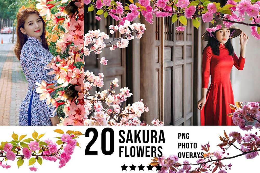 3300+动物花鸟植物藤曼浪漫闪光纸屑彩虹烟雾星空极光等照片叠加合成素材合集 3300+ Photo Overlays Bundle + FREE Act 图片素材 第6张-素材湾丨精选海外优质设计素材资源 3300+动物花鸟植物藤曼浪漫闪光纸屑彩虹烟雾星空极光等照片叠加合成素材合集 3300+ Photo Overlays Bundle + FREE Act 图片素材 sucaiwan.com