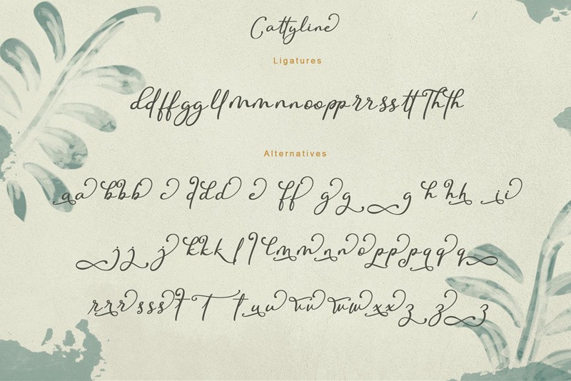 唯美清新贺卡邀请函手写字体素材 Cattyline 设计素材 第4张-素材湾丨精选海外优质设计素材资源 唯美清新贺卡邀请函手写字体素材 Cattyline 设计素材 sucaiwan.com