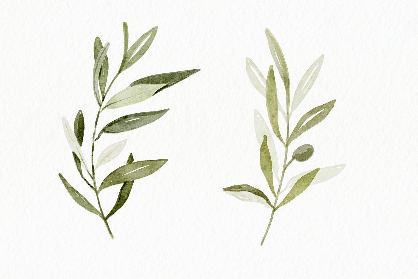 写实水彩PS笔刷素材 Realistic watercolor brushes – PS 笔刷资源 sucaiwan.com