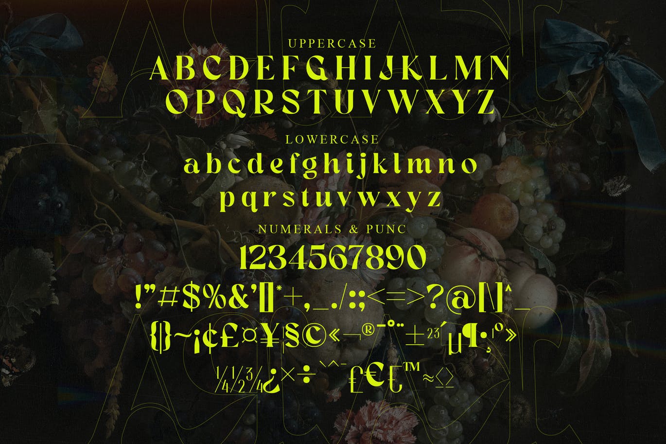 衬线显示英文字体素材 Kara Serif Display Font 设计素材 sucaiwan.com