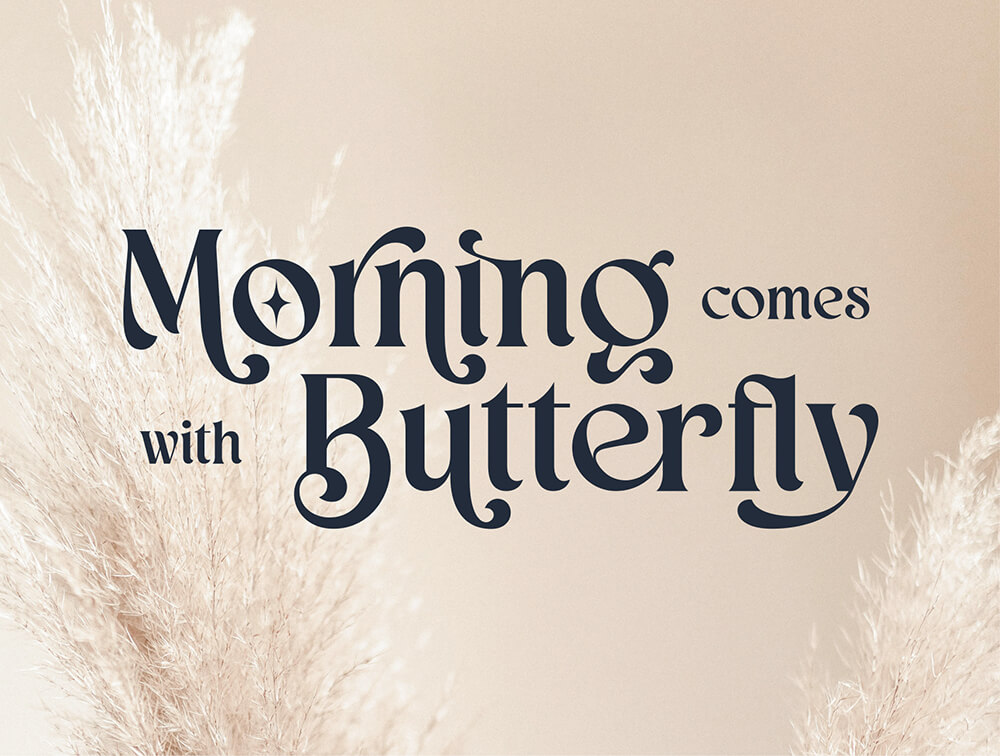 美学显示衬线字体 设计素材 sucaiwan.com