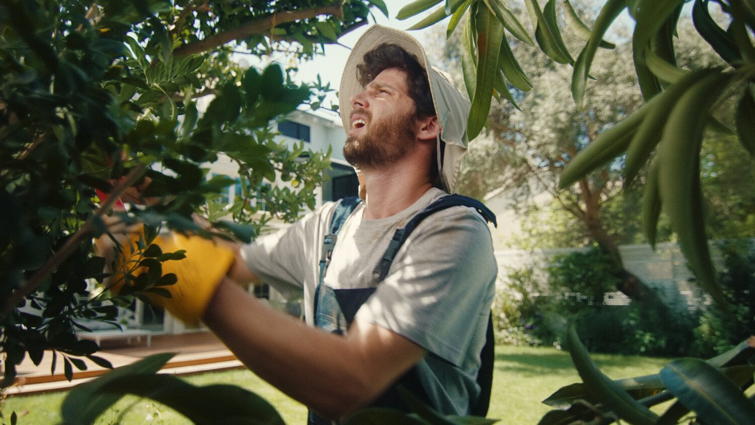 Juan Melara 柯达胶片色彩光晕仿真模拟调色节点+LUTS DEC 8 2022 RCM UPDATE - FILMUNLIMITED – FLEXIBLE FILM EMULATION 插件预设 第27张-素材湾丨精选海外优质设计素材资源 Juan Melara 柯达胶片色彩光晕仿真模拟调色节点+LUTS DEC 8 2022 RCM UPDATE - FILMUNLIMITED – FLEXIBLE FILM EMULATION 插件预设 sucaiwan.com