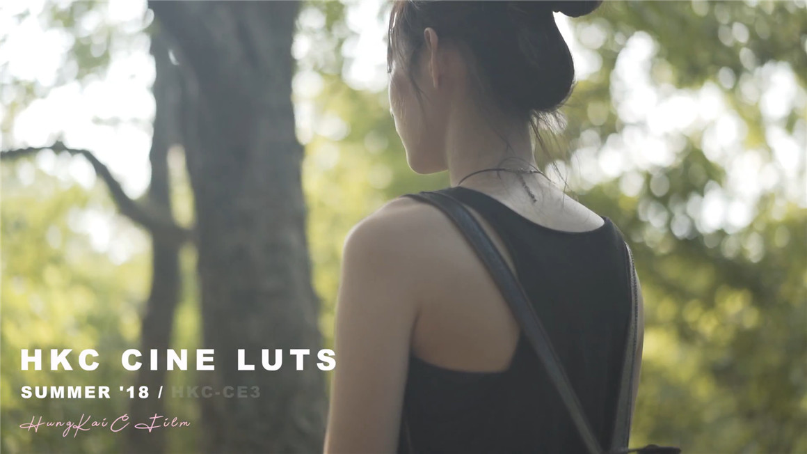 10个索尼专业电影级调色LUT预设包 CINE LUT PACK 插件预设 第11张-素材湾丨精选海外优质设计素材资源 10个索尼专业电影级调色LUT预设包 CINE LUT PACK 插件预设 sucaiwan.com