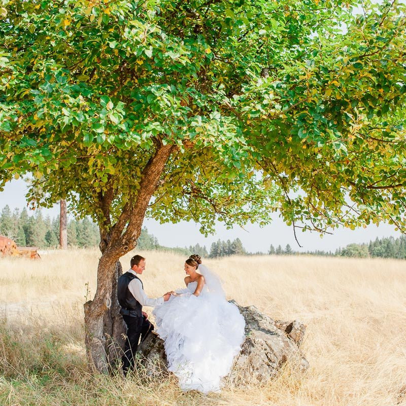 Mastin Labs 6种柯达富士胶片人像婚纱旅拍摄影LR预设包 Founder PLUS+ Lightroom Desktop Presets 插件预设 第5张-素材湾丨精选海外优质设计素材资源 Mastin Labs 6种柯达富士胶片人像婚纱旅拍摄影LR预设包 Founder PLUS+ Lightroom Desktop Presets 插件预设 sucaiwan.com