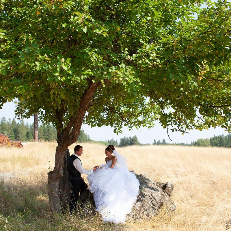 Mastin Labs 6种柯达富士胶片人像婚纱旅拍摄影LR预设包 Founder PLUS+ Lightroom Desktop Presets 插件预设 第4张-素材湾丨精选海外优质设计素材资源 Mastin Labs 6种柯达富士胶片人像婚纱旅拍摄影LR预设包 Founder PLUS+ Lightroom Desktop Presets 插件预设 sucaiwan.com