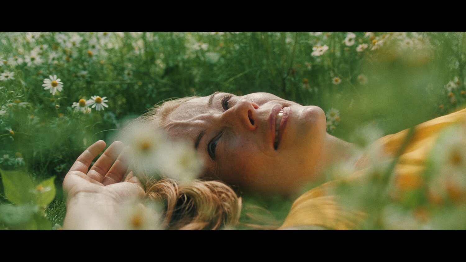 Juan Melara 柯达胶片色彩光晕仿真模拟调色节点+LUTS DEC 8 2022 RCM UPDATE - FILMUNLIMITED – FLEXIBLE FILM EMULATION 插件预设 第25张-素材湾丨精选海外优质设计素材资源 Juan Melara 柯达胶片色彩光晕仿真模拟调色节点+LUTS DEC 8 2022 RCM UPDATE - FILMUNLIMITED – FLEXIBLE FILM EMULATION 插件预设 sucaiwan.com