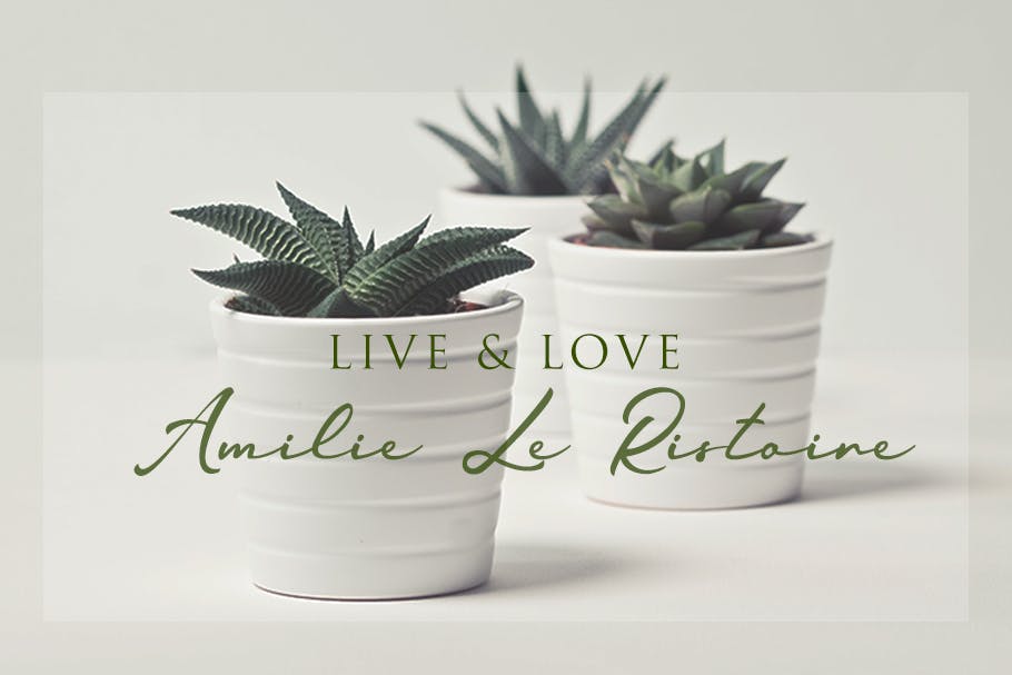 现代风格英文手写书法字体 Jamilah – Love Story Handwritten Font 设计素材 sucaiwan.com