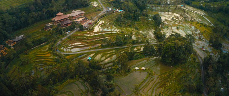 Nomadic George 柯达2383电影胶片模拟达芬奇调色节点 Kodak 2383 Cinematic PowerGrade 插件预设 第12张-素材湾丨精选海外优质设计素材资源 Nomadic George 柯达2383电影胶片模拟达芬奇调色节点 Kodak 2383 Cinematic PowerGrade 插件预设 sucaiwan.com