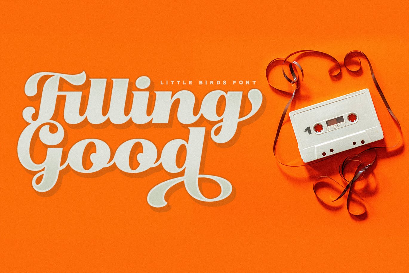 “仿鸟”线条复古风简洁英文字体脚本 Little Birds Script 设计素材 sucaiwan.com