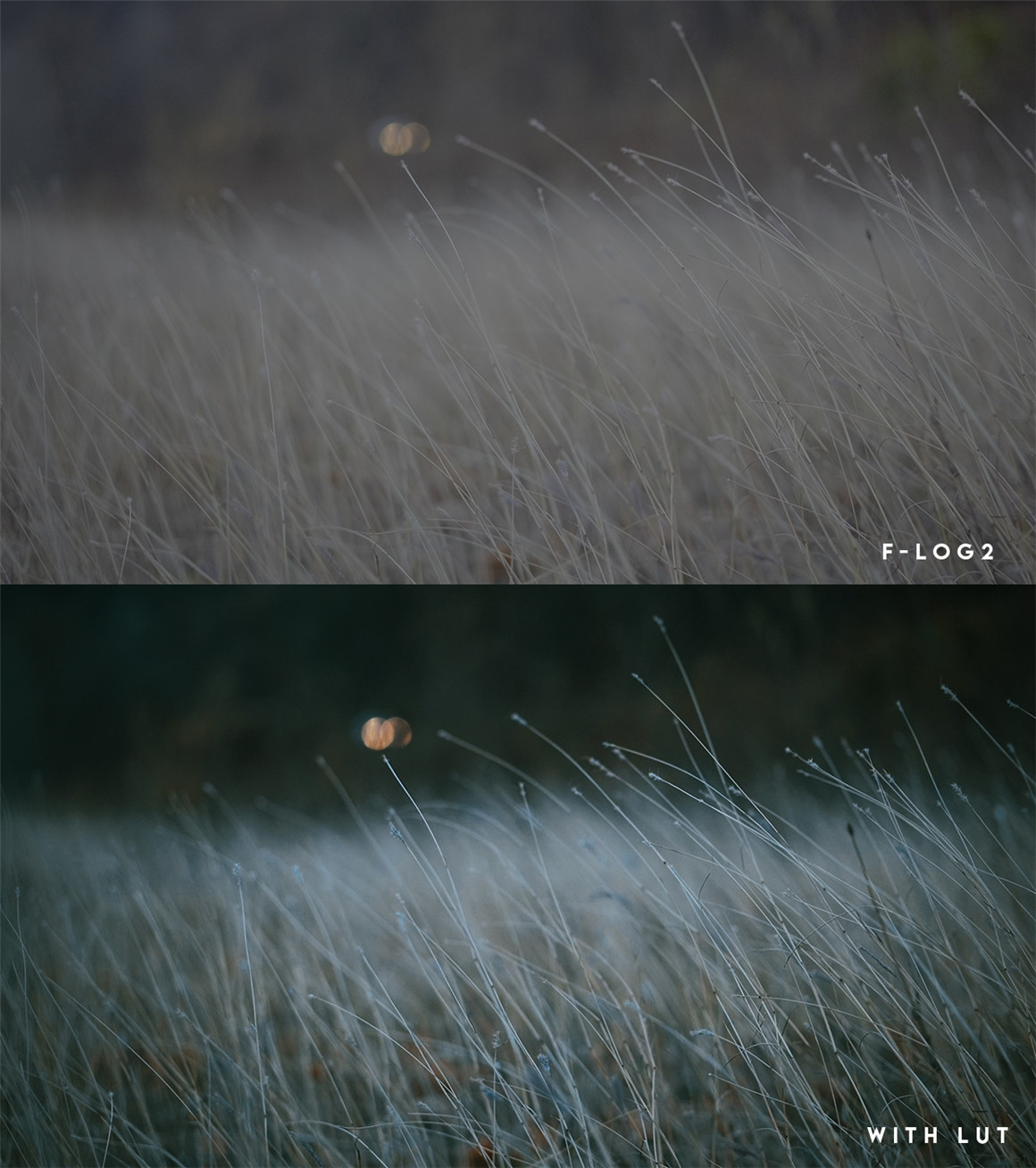 富士F-Log2下电影色彩调色LUT 支持Fujifilm XH2s,Fujifilm XH2或Fujifilm XT2 . 第5张-素材湾丨精选海外优质设计素材资源 富士F-Log2下电影色彩调色LUT 支持Fujifilm XH2s,Fujifilm XH2或Fujifilm XT2 . sucaiwan.com