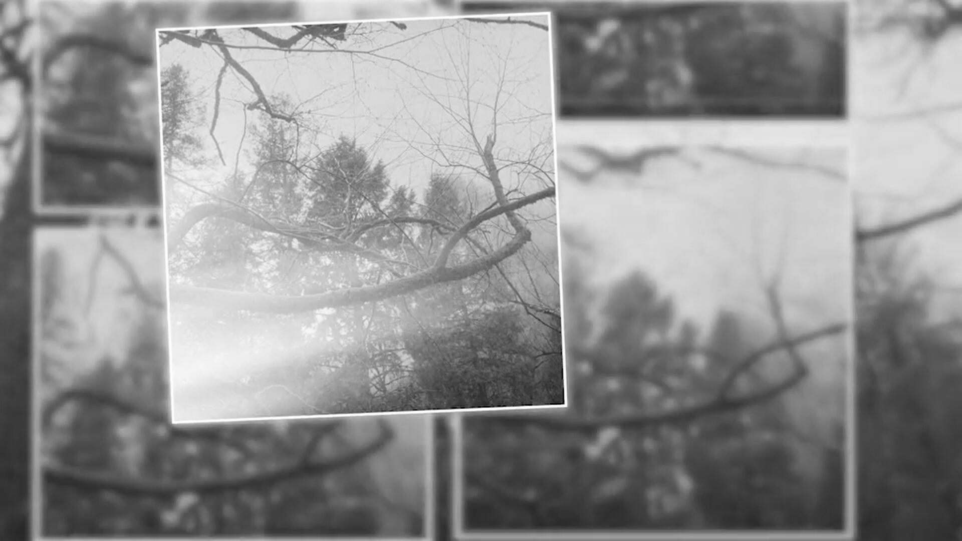 PR模板：复古35mm照片打印摄影拼贴风格转场过渡+音效包 . sucaiwan.com