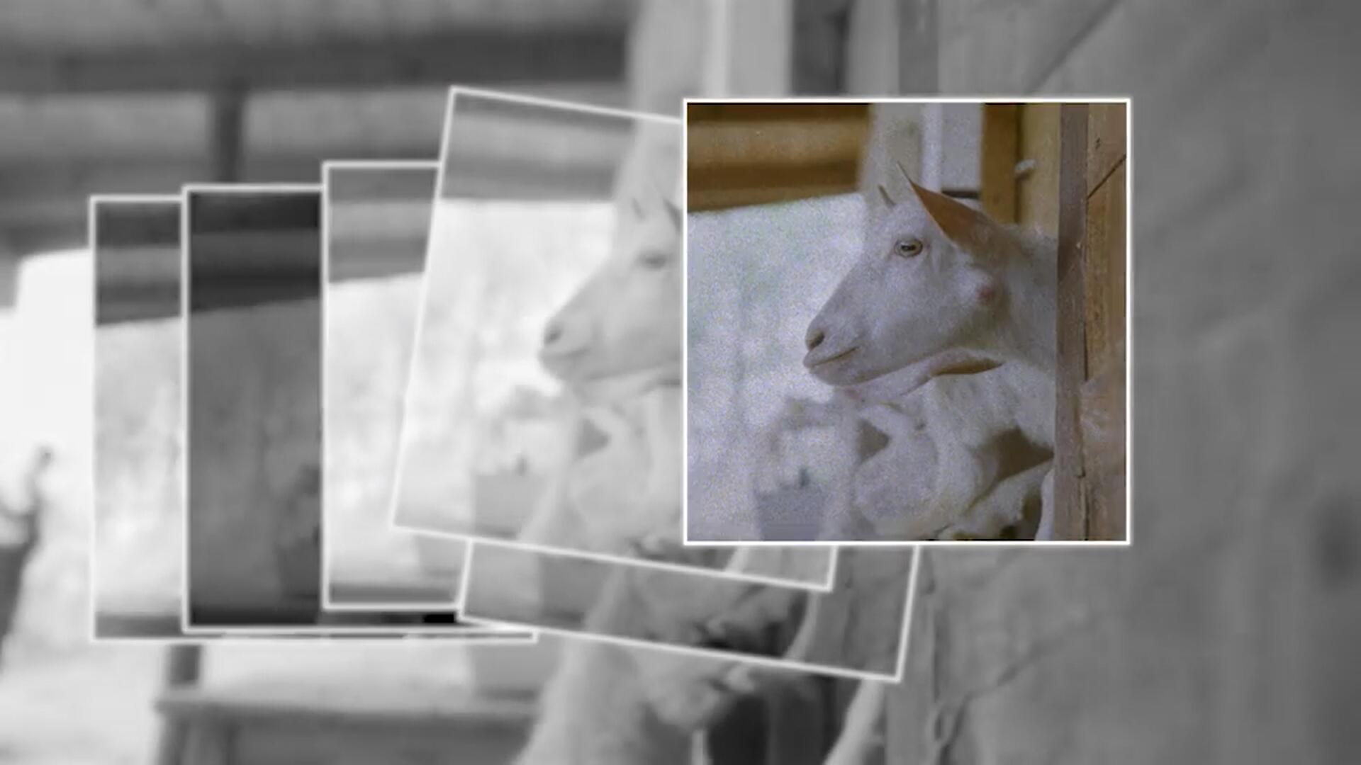 PR模板：复古35mm照片打印摄影拼贴风格转场过渡+音效包 . sucaiwan.com