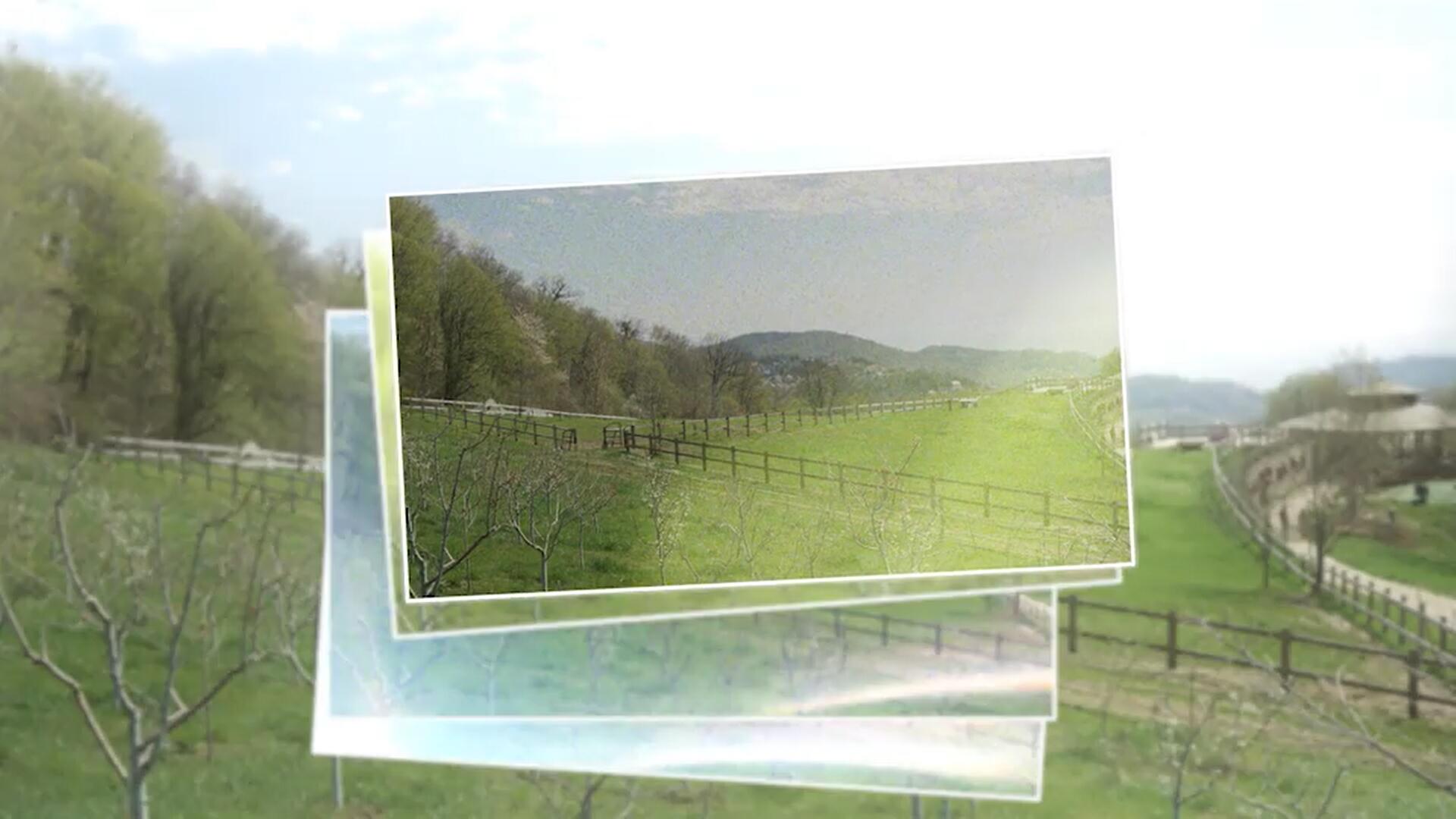 PR模板：复古35mm照片打印摄影拼贴风格转场过渡+音效包 . sucaiwan.com