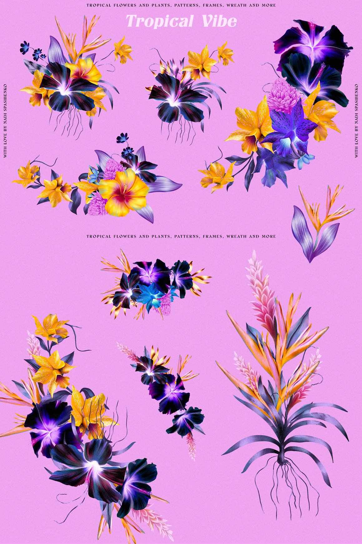 潮流复古宫廷热带花卉植物手绘插画拼贴图案纹样PNG免抠图片素材 Floral Tropical Vibe . 第8张-素材湾丨精选海外优质设计素材资源 潮流复古宫廷热带花卉植物手绘插画拼贴图案纹样PNG免抠图片素材 Floral Tropical Vibe . sucaiwan.com