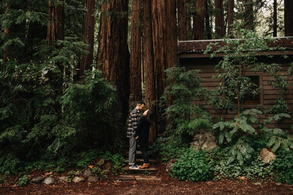 森系深邃绿色调婚礼旅拍人像LR调色预设 Meridian Presets - Lukas-Korynta - LKO 2.0 Presets . sucaiwan.com