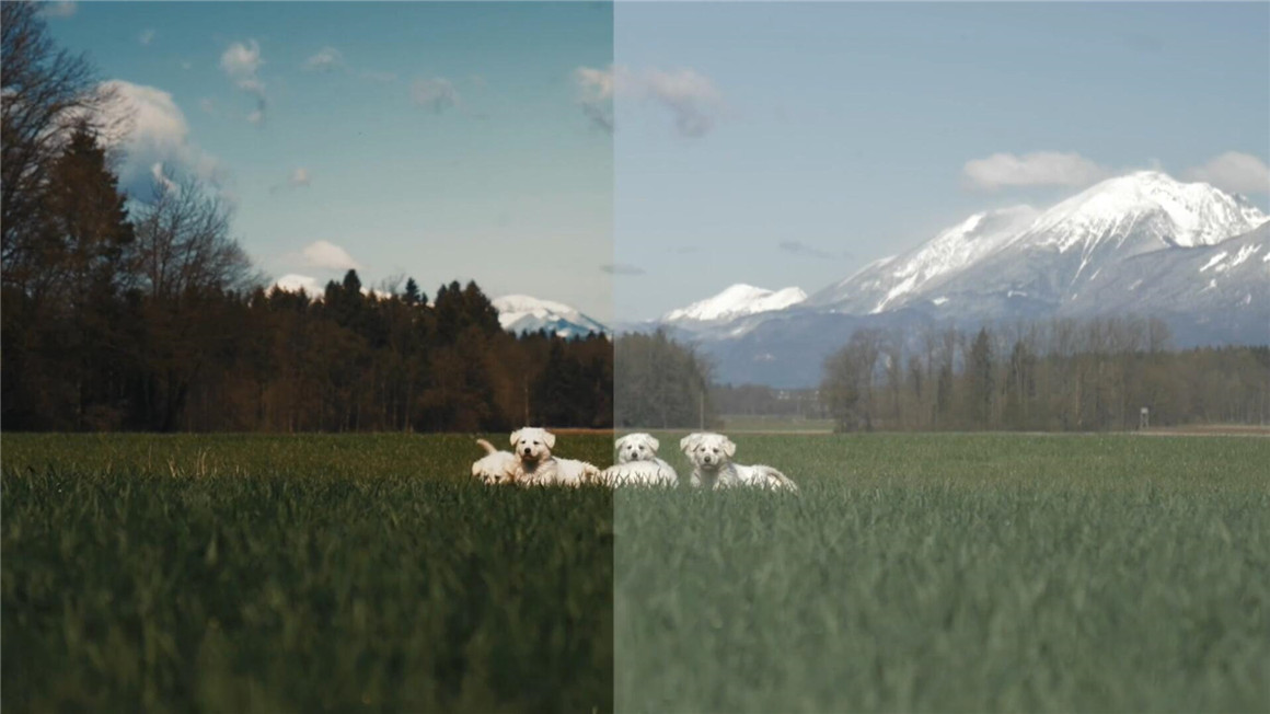 20个独特丰富电影风格外观调色预设LUT包 Dylan John Media - Filmic Luts Vol.1&2 + Bali Luts 插件预设 第6张-素材湾丨精选海外优质设计素材资源 20个独特丰富电影风格外观调色预设LUT包 Dylan John Media - Filmic Luts Vol.1&2 + Bali Luts 插件预设 sucaiwan.com