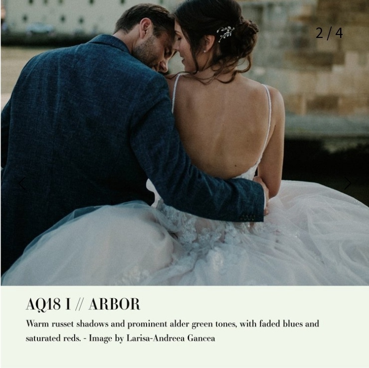 LR预设:古老英格兰风格斑驳色调调色预设包 Archipelago Quest - Quest 18 - Arbor . 第3张-素材湾丨精选海外优质设计素材资源 LR预设:古老英格兰风格斑驳色调调色预设包 Archipelago Quest - Quest 18 - Arbor . sucaiwan.com