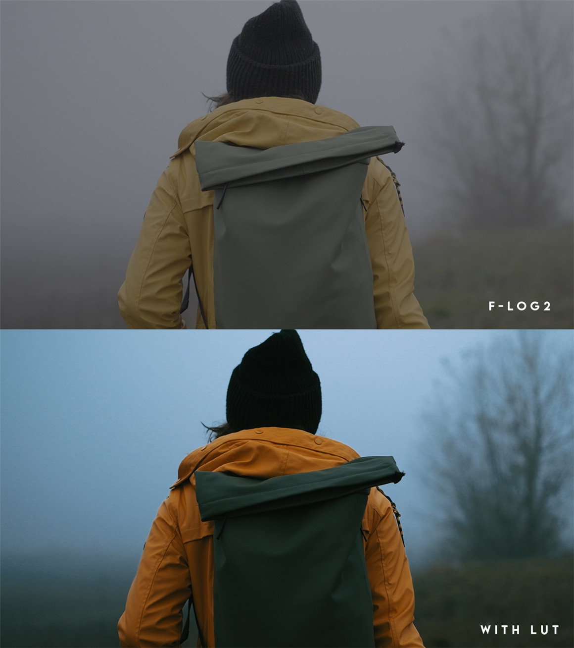 富士F-Log2下电影色彩调色LUT 支持Fujifilm XH2s,Fujifilm XH2或Fujifilm XT2 . 第14张-素材湾丨精选海外优质设计素材资源 富士F-Log2下电影色彩调色LUT 支持Fujifilm XH2s,Fujifilm XH2或Fujifilm XT2 . sucaiwan.com