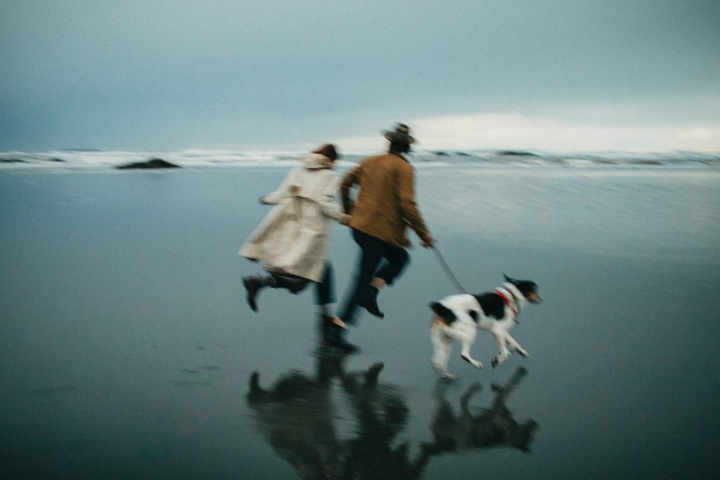 森系深邃绿色调婚礼旅拍人像LR调色预设 Meridian Presets - Lukas-Korynta - LKO 2.0 Presets . sucaiwan.com