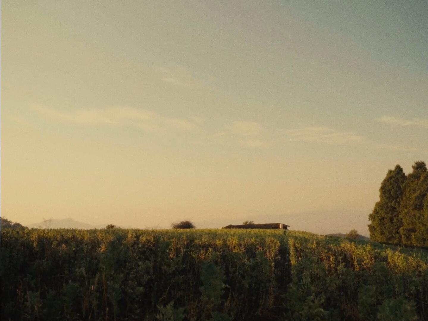 复古胶片电影噪点灰尘纹理叠加效果达芬奇节点 Grain PowerGrade . sucaiwan.com