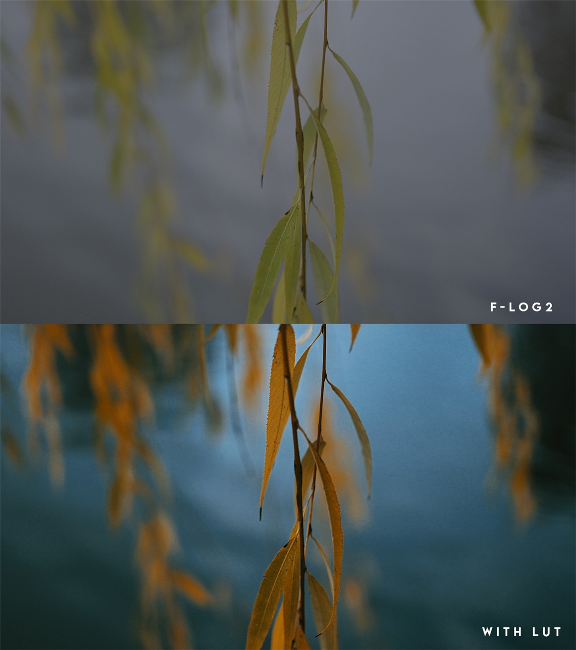 富士F-Log2下电影色彩调色LUT 支持Fujifilm XH2s,Fujifilm XH2或Fujifilm XT2 . 第9张-素材湾丨精选海外优质设计素材资源 富士F-Log2下电影色彩调色LUT 支持Fujifilm XH2s,Fujifilm XH2或Fujifilm XT2 . sucaiwan.com