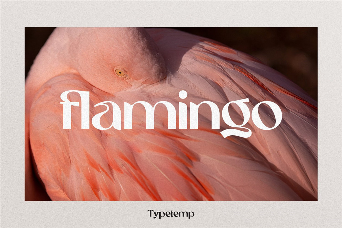 英文字体:现代时尚优雅女性化品牌推广海报标题设计Logo英文字体素材包 Eugusto Display Typeface 设计素材 第2张-素材湾丨精选海外优质设计素材资源 英文字体:现代时尚优雅女性化品牌推广海报标题设计Logo英文字体素材包 Eugusto Display Typeface 设计素材 sucaiwan.com